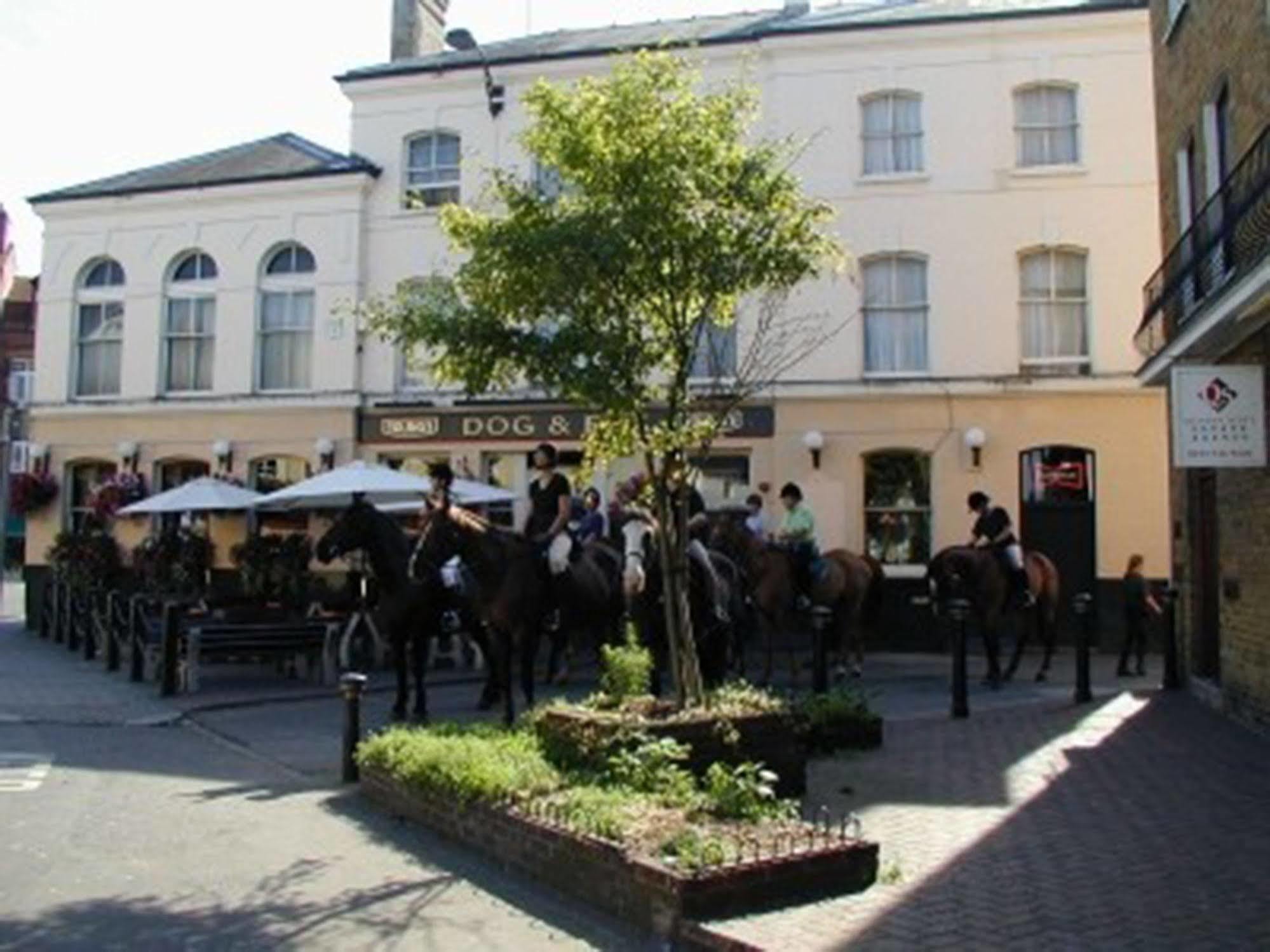 Lovely Garden Apartment In Wimbledon Town Centre With Private Parking By Wimbledon Holiday Lets Londyn Zewnętrze zdjęcie